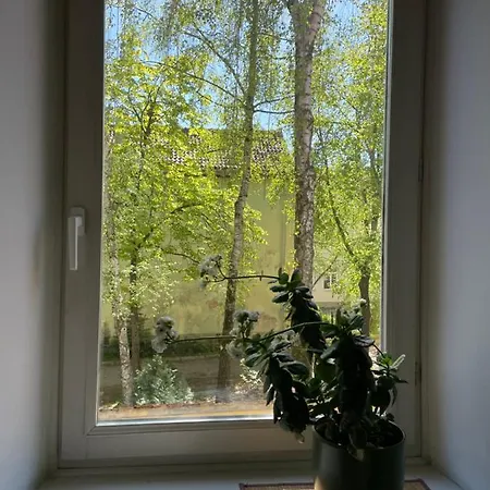 旅馆 米卡洛旅舍