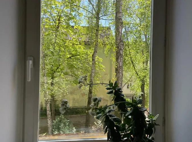 旅馆 米卡洛旅舍