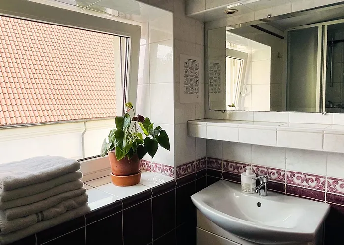 Vandrerhjem Mikalo House